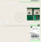 Super Clone Watches - Customer Chat Record 3