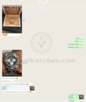 Super Clone Watches - Customer Chat Record 2