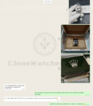 Super Clone Watches - Customer Chat Record 1